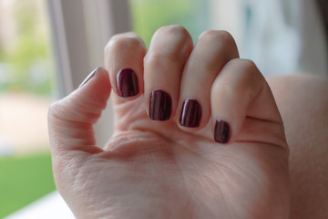Naklejka premium Beautiful manicure. Nail polish being applied to hand, polish is a red color.