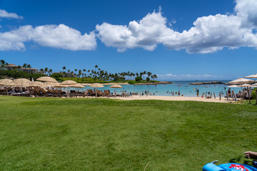 ハワイのビーチ