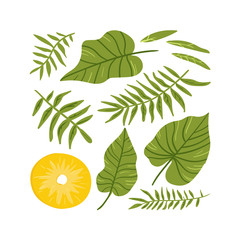 Pineapple. Tropical summer fruit isolated on a white background. Citrus in hand drawn style. Scandinavian nordic design for fashion or interior or cover or textile or background.