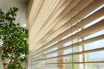 bamboo blinds and green plant on the window with sunshine
