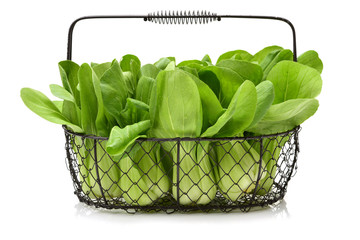 Pok Choi on white background