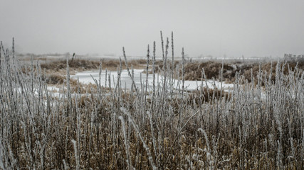 Sylwetki drzew zimą, śnieg, szadź, mgła © Krzysztof