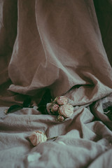close-up composition of white roses on a linen sheet amongst white petals. Floral concept background, copy space. Flower bouquet on a beige, neutral fabric with folds. Tender morning decor. Soft focus
