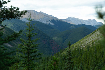 Sulphur Skyline Trailhead, Jasper National Park