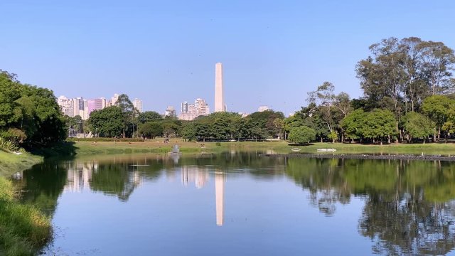 A white heron flying low touching the lake at the Ibirapuera public park in Sao Paulo. The park has museums, planetarium, auditorium and leisure areas.