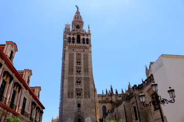 Fototapeta na wymiar Torre da catedral de Sevilha
