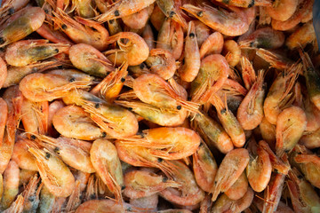 many shrimp of different sizes in a box