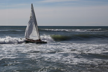 Patín a vela tomando tierra con oleaje