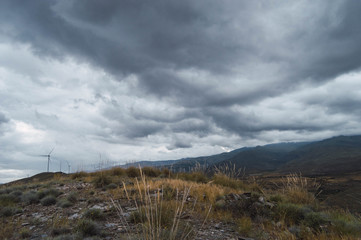 RURAL
