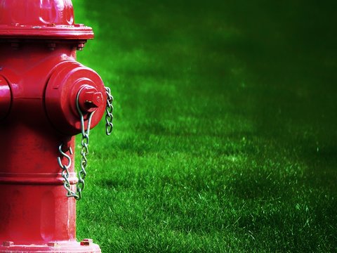 Close-up Of Fire Hydrant On Field
