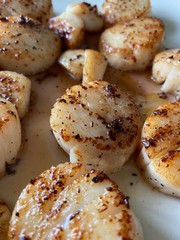 seared scallops in a butter sauce