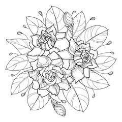 Round bouquet with outline Gardenia flower, bud and ornate leaf in black isolated on white background. 