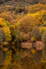 autumn landscape with reflections