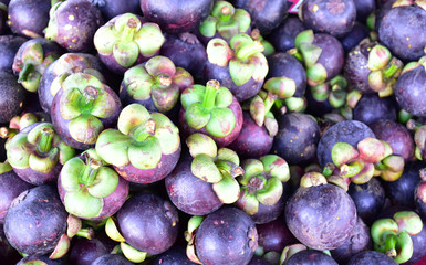 Pile of mangosteen with blurred background.