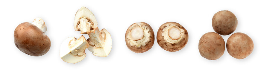 Set of fresh whole and sliced royal mushrooms mushrooms isolated on a white background. View from above