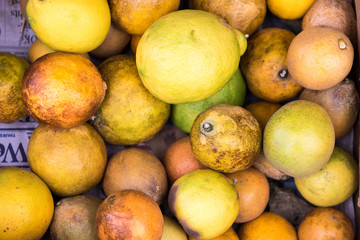 Citrus fruits