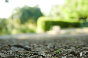 Fototapeta na wymiar Suelo de tierra de un parque de Barcelona. Algunas piedras pequeñas