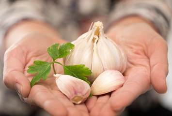 Ajo con perejil sobre manos arrugadadas