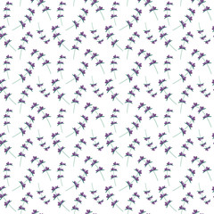Lavender flowers pattern provence style. Vector stock illustration for print industry, packaging paper, bag, stationary. EPS10