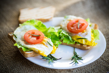 fried toasts with egg, salad, tomato in a plate