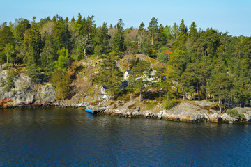Obraz premium Sweden - Baltic sea and the forest 