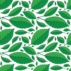 Fototapeta na wymiar Green leafs hand drawn seamless background. Different shape leafs sketch drawing endless pattern. Part of set.