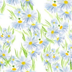 Daisies - flowers and leaves. Seamless pattern. Watercolor illustration. Decorative composition. Use printed materials, signs, objects, sites, maps.