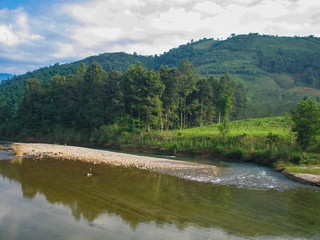 a small forest grows on the river bank at the foot of the hills, summer sunny day, nature of Vietnam
