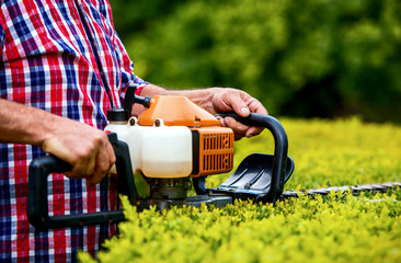 Gardening. Man trimming hedge in the yard with pruning tools, close up photo. Hobbies and leisure