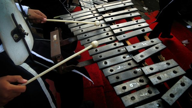 13 198 Best Xylophone Images Stock Photos Vectors Adobe Stock
