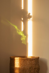 magical home interior decor detail with basket and flower vase shadow with sunset light beam