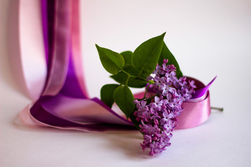 lavender flowers in glass vase