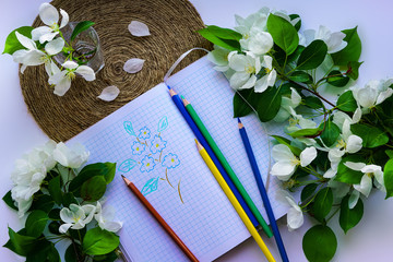 Spring composition for the artist - apple blossom, notebook, pencils