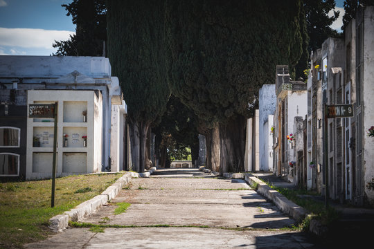 el cementerio parece aterrador, a mi me parece mal que nos cobren impuestos hasta después de muertos.