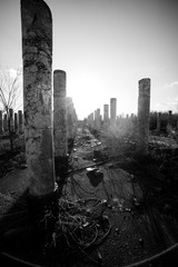 UMore WWII Urban Ruins, Minnesota