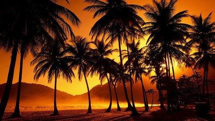 Naklejka na ściany i meble Silhouette Palm Trees At Beach During Sunset
