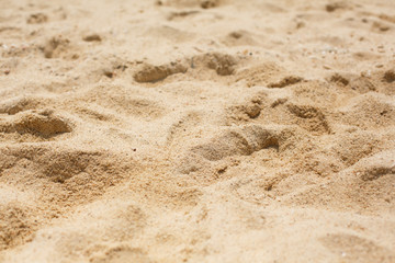 Fototapeta na wymiar Natural texture and background. Sand beach. Yellow sand close up
