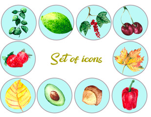 A set of icons with the image of berries, vegetables and autumn leaves on a white background. Watercolor plants: pepper, lime, chestnut, avocado, strawberry, currant, cherry and autumn leaves.