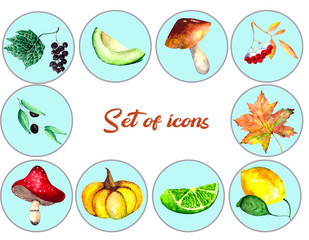 A set of icons with images of vegetables, berries and citrus on a blue background for symbols on the theme of food. Watercolor plants: currant, avocado, olives, lime, lemon, mushroom and viburnum.
