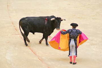 Spanish torero performing a bullfight at a big arena