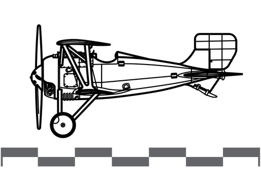 Siemens-Schuckert D.III. World War 1 combat aircraft. Side view. Image for illustration and infographics.