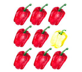 A collection of sweet red bell peppers in several rows with a single yellow pepper on a white background. Watercolor drawing for design of illustrations on the theme of cuisine and cooking.
