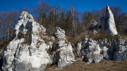 Beautiful limestone rock formations in the Pradnik valley