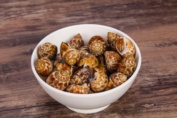 Tasty mollusk - spotted Babylon in the bowl