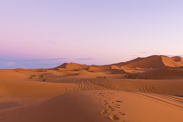 Fototapeta na wymiar Footsteps in the desert