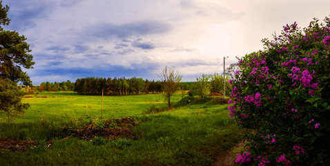View from the hill to the sunset valley, panorama of village motifs, nature of the country