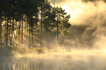 The integrity of the forest and nature of Huai Pang tong Reservoir at Pang Oung, Pang Tong Royal...