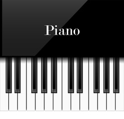 Fototapeta premium Realistic piano keys, vector illustration