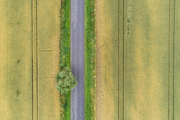 Village country farming shapes in field