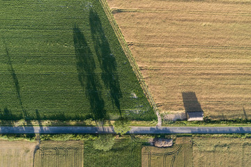 Village country farming shapes in field